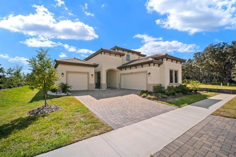 House in Riverview, Florida 4 bedrooms, 343.65 sq.m. № 2430692