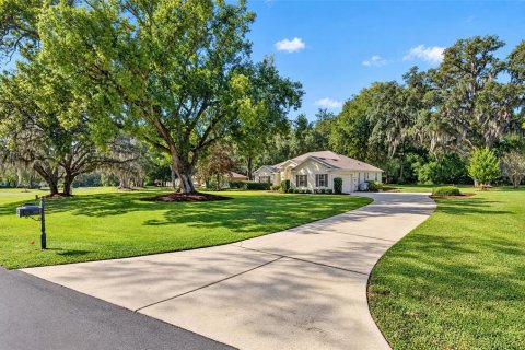 Villa ou maison à vendre à Fruitland Park, Floride: 3 chambres, 251.21 m2 № 2433425 - photo 17