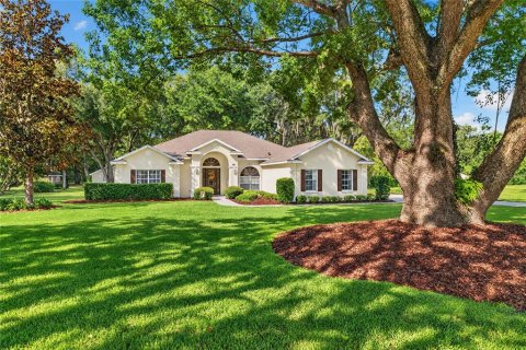 Villa ou maison à vendre à Fruitland Park, Floride: 3 chambres, 251.21 m2 № 2433425 - photo 4