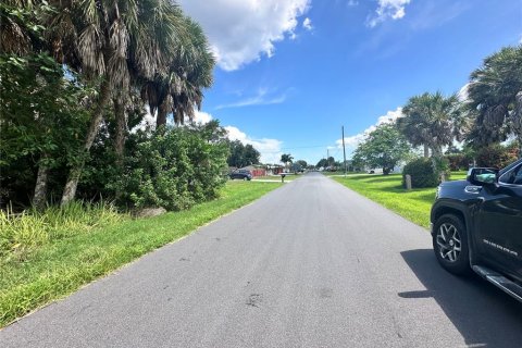 Land in Port Charlotte, Florida № 2228122 - photo 4