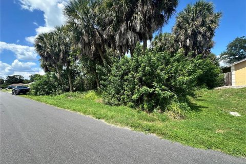 Land in Port Charlotte, Florida № 2228122 - photo 6