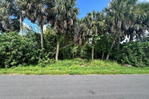 Terreno en Port Charlotte, Florida № 2228122