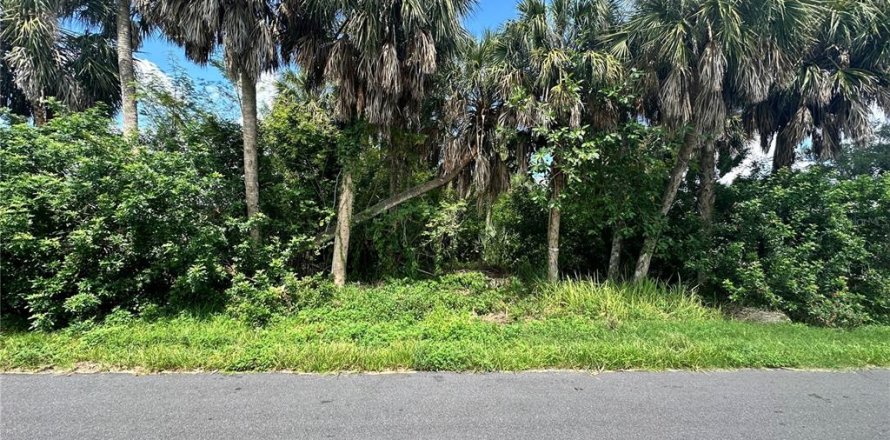 Land in Port Charlotte, Florida № 2228122