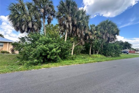 Land in Port Charlotte, Florida № 2228122 - photo 3