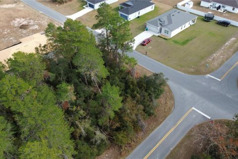 Terreno en venta en Ocala, Florida № 1558881 - foto 3