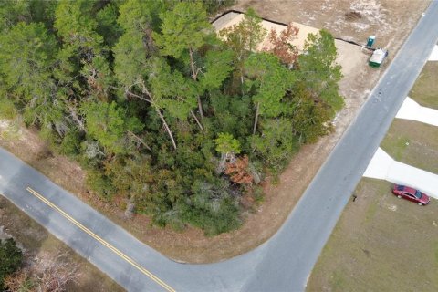 Terreno en venta en Ocala, Florida № 1558881 - foto 6