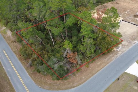 Terreno en venta en Ocala, Florida № 1558881 - foto 1