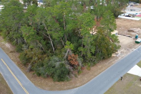 Terreno en venta en Ocala, Florida № 1558881 - foto 5
