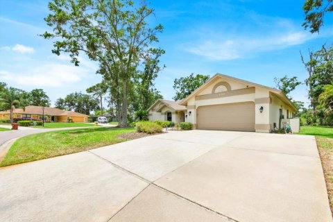 Villa ou maison à vendre à Plant City, Floride: 3 chambres, 249.16 m2 № 1784900 - photo 3