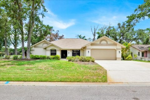 Villa ou maison à vendre à Plant City, Floride: 3 chambres, 249.16 m2 № 1784900 - photo 1