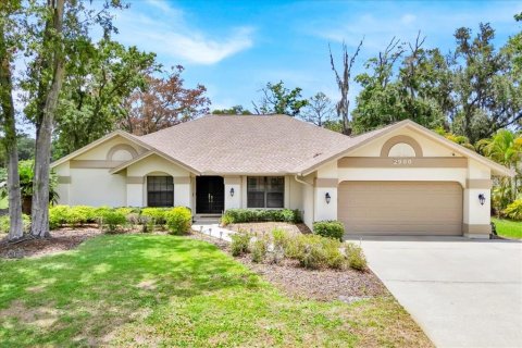 Villa ou maison à vendre à Plant City, Floride: 3 chambres, 249.16 m2 № 1784900 - photo 2