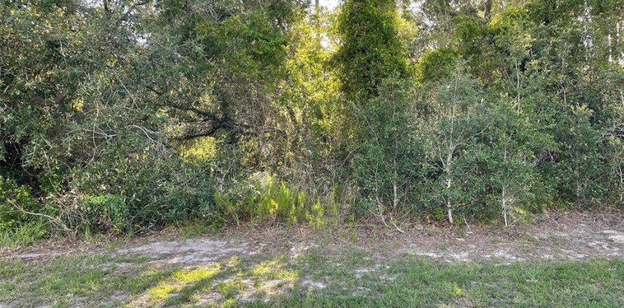 Land in Weeki Wachee, Florida № 1828624