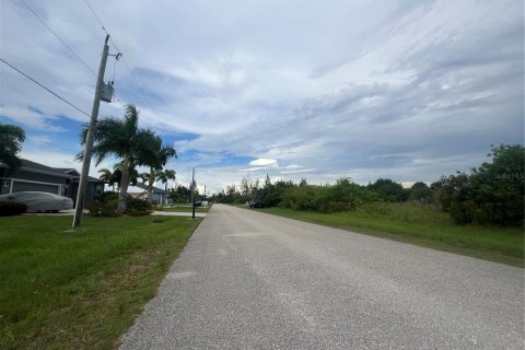 Land in Port Charlotte, Florida № 1766105 - photo 6