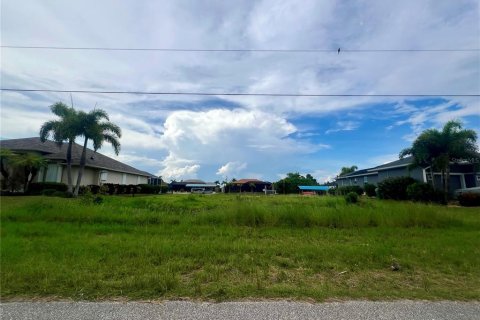 Land in Port Charlotte, Florida № 1766105 - photo 4
