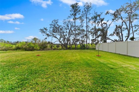 House in Plant City, Florida 4 bedrooms, 244.61 sq.m. № 1717235 - photo 22