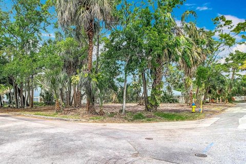 Terrain à vendre à Tampa, Floride № 1608227 - photo 6