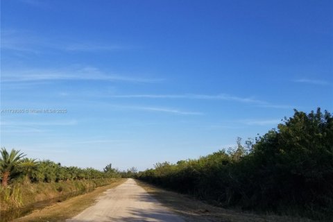 Купить коммерческую недвижимость в Майами-Дейд, Флорида № 1764436 - фото 3