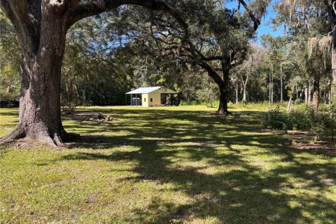 Terrain à vendre à Ocala, Floride № 2314713 - photo 15