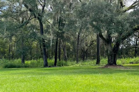Terrain à vendre à Ocala, Floride № 2314713 - photo 2
