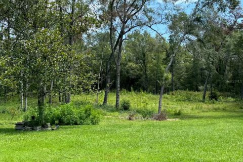 Terrain à vendre à Ocala, Floride № 2314713 - photo 3