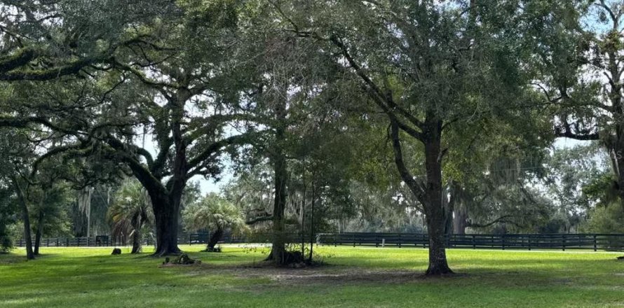 Terrain à Ocala, Floride № 2314713
