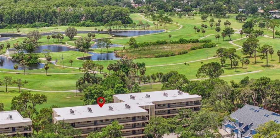 Condo à Tarpon Springs, Floride, 2 chambres № 1805528
