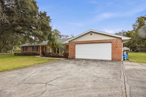 House in Lutz, Florida 4 bedrooms, 219.25 sq.m. № 2416296 - photo 4