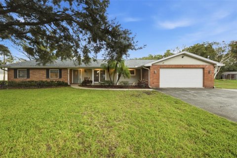 House in Lutz, Florida 4 bedrooms, 219.25 sq.m. № 2416296