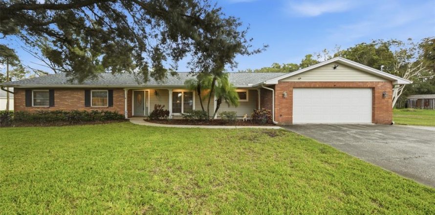 House in Lutz, Florida 4 bedrooms, 219.25 sq.m. № 2416296