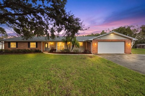 House in Lutz, Florida 4 bedrooms, 219.25 sq.m. № 2416296 - photo 3