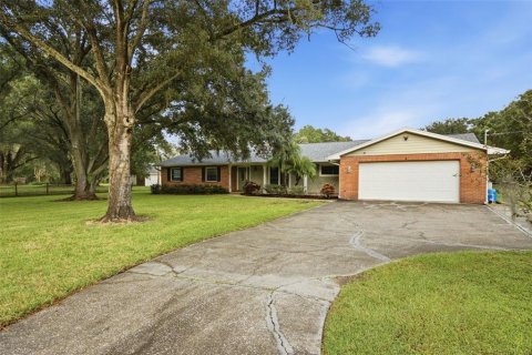 House in Lutz, Florida 4 bedrooms, 219.25 sq.m. № 2416296 - photo 6