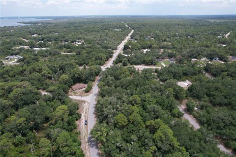 Land in Lake Placid, Florida № 2165539 - photo 5