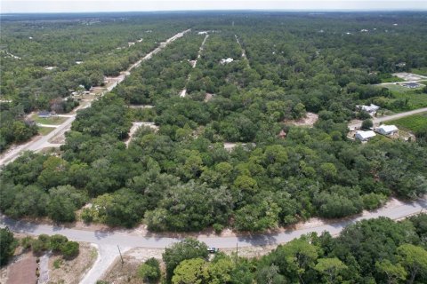 Land in Lake Placid, Florida № 2165539 - photo 4
