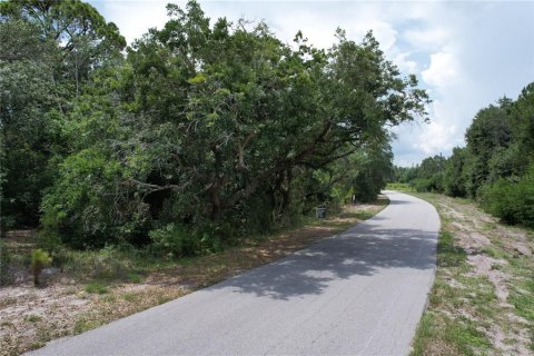 Land in Lake Placid, Florida № 2165539 - photo 3