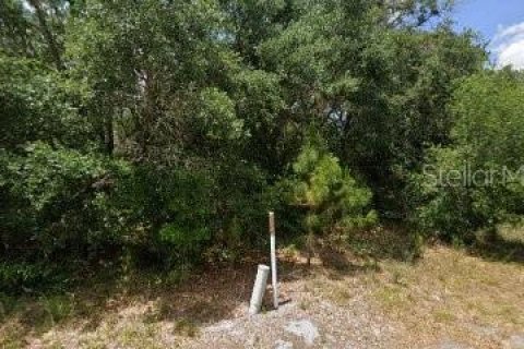 Land in Lake Placid, Florida № 2165539 - photo 7