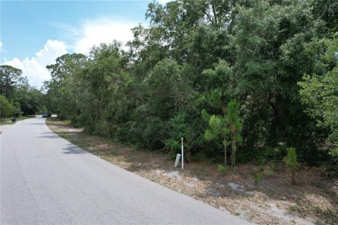 Land in Lake Placid, Florida № 2165539 - photo 2