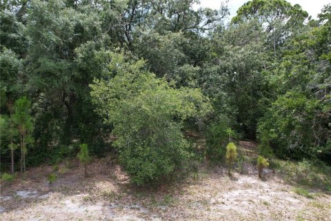 Land in Lake Placid, Florida № 2165539
