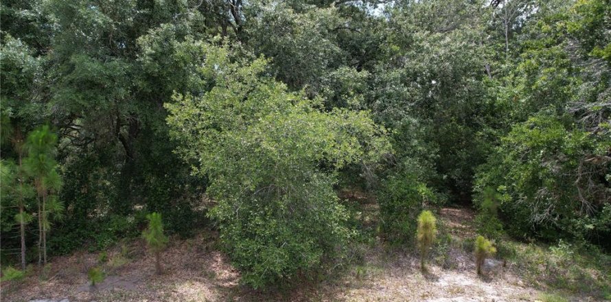 Land in Lake Placid, Florida № 2165539