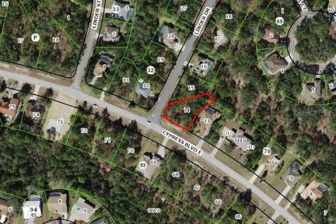 Land in Homosassa, Florida № 2159621 - photo 3