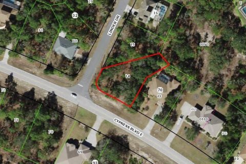 Land in Homosassa, Florida № 2159621 - photo 2