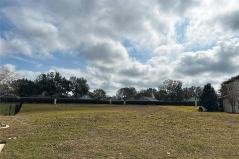 Terreno en venta en Clermont, Florida № 1540725 - foto 6