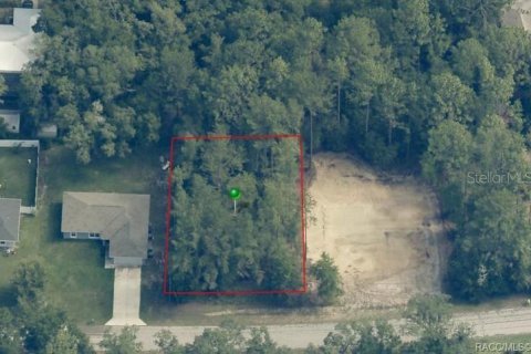 Land in Citrus Springs, Florida № 2159791 - photo 2