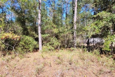 Land in Citrus Springs, Florida № 2159791
