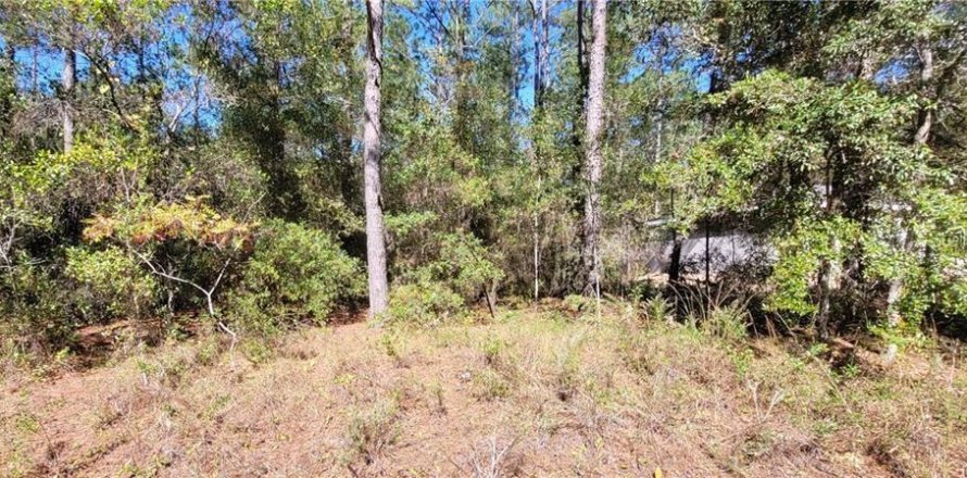 Land in Citrus Springs, Florida № 2159791