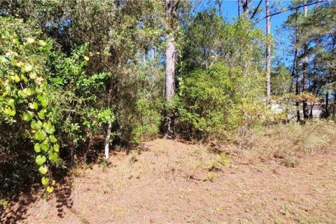 Land in Citrus Springs, Florida № 2159791 - photo 3