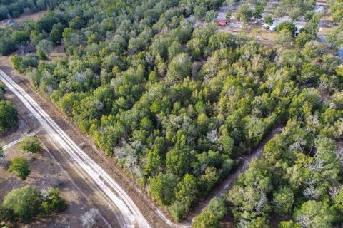 Land in Fort White, Florida № 2094087