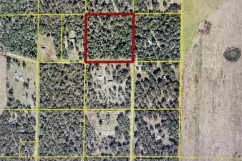 Land in Fort White, Florida № 2094087 - photo 14