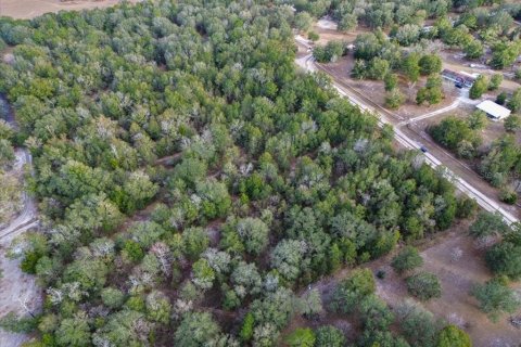 Land in Fort White, Florida № 2094087 - photo 11