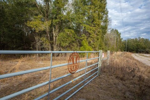 Land in Fort White, Florida № 2094087 - photo 3