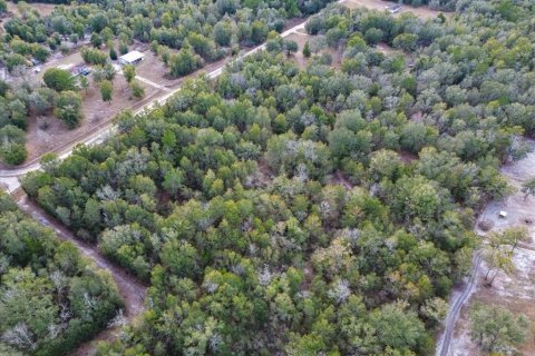 Land in Fort White, Florida № 2094087 - photo 13